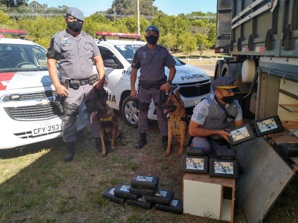 Policiamento Rodoviário prende 33 tabletes de cocaína com apoio de Cães do 8°BAEP em Cândido Mota.